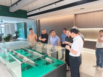 兩地政協(xié)領(lǐng)導(dǎo)蒞臨恒業(yè)電子參觀(guān)生產(chǎn)車(chē)間